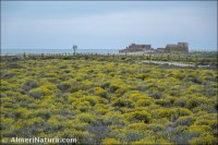 Punta Entinas